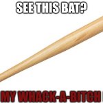 Send this to someone who ticks you off | SEE THIS BAT? IT'S MY WHACK-A-BITCH BAT | image tagged in whack-a-bitch | made w/ Imgflip meme maker