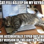 More letters keep being added to the acronym | MY CAT FELL ASLEEP ON MY KEYBOARD; HE ACCIDENTALLY TYPED OUT THE LATEST VERSION OF THE LGBTQ+ ACRONYM | image tagged in cat sleep keyboard notebook,humor,lgbtq,sjws | made w/ Imgflip meme maker