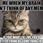 Mad cat | ME WHEN MY BRAIN CAN'T THINK OF ANY MEMES:; IF YOU WANT TO LIVE YOU'D BETTER THINK OF SOMETHING FAST | image tagged in mad cat | made w/ Imgflip meme maker