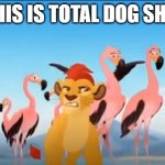 Dog sh*t | THIS IS TOTAL DOG SH*T | image tagged in dog sh t | made w/ Imgflip meme maker