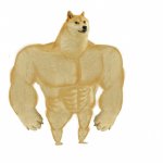 Doge buff