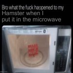 I did this cuz I was bored | Hamster when I put it in the microwave | image tagged in bro what the frick happened to my blank | made w/ Imgflip meme maker