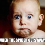 scared baby | WHEN THE SPIDER GETS AWAY | image tagged in scared baby | made w/ Imgflip meme maker