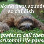 Concerning Naps | Taking naps sounds
so childish; I prefer to call them 
horizontal life pauses | image tagged in sleeping sloth,sleeping,my life | made w/ Imgflip meme maker