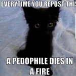 Everytime you repost this a pedophile dies in a fire