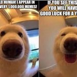 wholesome doggo | HELLO HUMAN! I APPEAR IN 1 IN EVERY 1,000,000 MEMES! IF YOU SEE THIS, YOU WILL HAVE GOOD LUCK FOR A YEAR! | image tagged in wholesome doggo | made w/ Imgflip meme maker