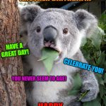 Surprised Koala | NOOOO........NOT ANOTHER BIRTHDAY!!! HAPPY BIRTHDAY, PATTI! YOU NEVER SEEM TO AGE! HAVE A GREAT DAY! CELEBRATE YOU! | image tagged in memes,surprised koala | made w/ Imgflip meme maker