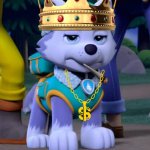 Everest | I AM THE KING; GIVE ME YOUR STUFF! | image tagged in bad day everest paw patrol | made w/ Imgflip meme maker