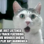 Stevie Wonder = harmonica = It's the law | I'VE JUST LISTENED TO A TRACK FEATURING STEVIE WONDER AND HE DIDN'T PLAY ANY HARMONICA | image tagged in memes,omg cat | made w/ Imgflip meme maker