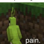 parrot suffering from pain | pov : your step an lego | image tagged in parrot suffering from pain,memes,pov | made w/ Imgflip meme maker
