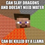 Minecraft logic | CAN SLAY DRAGONS AND DOESNT NEED WATER CAN BE KILLED BY A LLAMA | image tagged in minecraft steve | made w/ Imgflip meme maker