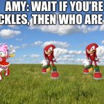 Bewear in the sonic world: part 1 | AMY: WAIT IF YOU’RE KNUCKLES, THEN WHO ARE YOU? | image tagged in grassland | made w/ Imgflip meme maker