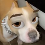 Cartoon dog