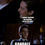 Gandalf | A HOBBIT ENJOYING HIS PEACEFUL LIFE IN THE SHIRE; GANDALF | image tagged in spiderman 3,lotr,bilbo baggins,frodo baggins,gandalf | made w/ Imgflip meme maker