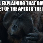 first time creating a meme template | ME IRL EXPLAINING THAT DAWN OF THE PLANET OF THE APES IS THE BEST FILM | image tagged in explaining maurice | made w/ Imgflip meme maker