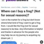 Where can I buy a frog