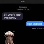 911 emergency text hotline
