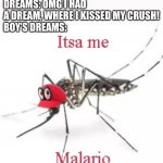 Boys dreams | GIRL’S DREAMS: OMG I HAD A DREAM, WHERE I KISSED MY CRUSH!

BOY’S DREAMS: | image tagged in malario | made w/ Imgflip meme maker