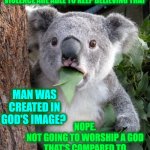 Man (male) Is The Most Disgusting, Vile, Sadistic, Ignorant, Self Gratifying Useless Creature in The Known Universe | DO YOU THINK SURVIVORS OF SEXUAL ASSAULT AND DOMESTIC VIOLENCE ARE ABLE TO KEEP BELIEVING THAT MAN WAS CREATED IN GOD'S IMAGE? NOPE.
NOT GOI | image tagged in memes,surprised koala,useless,special kind of stupid,man,men are horrible people | made w/ Imgflip meme maker