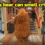 *Sniff* hmmm... | This bear can smell cringe IT'S YOU! | image tagged in gifs,bear in the big blue house | made w/ Imgflip video-to-gif maker