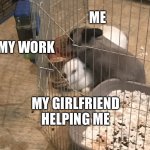 Bunny Step | ME; MY WORK; MY GIRLFRIEND HELPING ME | image tagged in bunny step | made w/ Imgflip meme maker