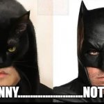 Catman Batman | .........FUNNY..........................NOT FUNNY. | image tagged in catman batman | made w/ Imgflip meme maker
