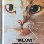Meow means fuck you in cat