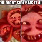 Horror tomato | THE RIGHT SIDE SAIS IT ALL | image tagged in horror tomato | made w/ Imgflip meme maker