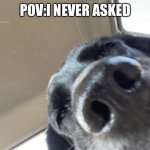Dog | POV:I NEVER ASKED | image tagged in dog | made w/ Imgflip meme maker
