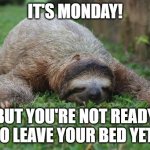 Sloth Monday | IT'S MONDAY! BUT YOU'RE NOT READY TO LEAVE YOUR BED YET! | image tagged in sloth monday | made w/ Imgflip meme maker