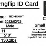 My ID Card | TECHNO10IT 2022/03/23 Male 11 5’ 0” 130.2lbs Im a kid from Texas that loves baseball, Nintendo (specifically splatoon 2) im a huge tech nerd | image tagged in imgflip id card | made w/ Imgflip meme maker