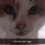 I know your gay