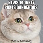 Not again | NEWS: MONKEY POX IS DANGEROUS | image tagged in memes,heavy breathing cat,stress | made w/ Imgflip meme maker