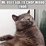 Not sure if this one has been done yet | ME:USES AXE TO CHOP WOOD

THOR: | image tagged in surprised cat | made w/ Imgflip meme maker