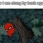 spiderman in bushes | Ow I am stung by bush again | image tagged in spiderman in bushes | made w/ Imgflip meme maker