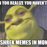 Crying shrek | WHEN YOU REALIZE YOU HAVEN'T SEEN ANY SHREK MEMES IN MONTHS | image tagged in crying shrek | made w/ Imgflip meme maker