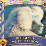 Blue-Eyes White Baboon