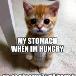 cute standing kitty | MY STOMACH WHEN IM HUNGRY; me: ah, who cares? i will ignore it | image tagged in cute standing kitty | made w/ Imgflip meme maker