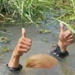 Donald Trump draining his own swamp by drinking it