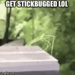 Please repost this | image tagged in gifs,get stick bugged lol,oh wow are you actually reading these tags | made w/ Imgflip video-to-gif maker