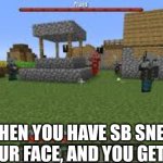 Minecraft is everywhere | WHEN YOU HAVE SB SNEEZE IN YOUR FACE, AND YOU GET HOME | image tagged in minecraft raid | made w/ Imgflip meme maker