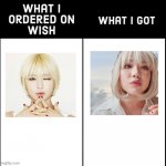 What i got | image tagged in what i ordered on wish and what i got | made w/ Imgflip meme maker