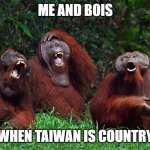 ME AND BOIS BE LIKE | ME AND BOIS; WHEN TAIWAN IS COUNTRY | image tagged in laughing orangutans | made w/ Imgflip meme maker