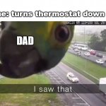 I saw that | Anyone: turns thermostat down to 68; DAD | image tagged in i saw that,memes,bird memes,air conditioner,dad | made w/ Imgflip meme maker
