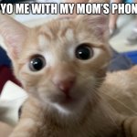 Selfie cat | 5 YO ME WITH MY MOM’S PHONE | image tagged in selfie cat | made w/ Imgflip meme maker