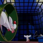 Pinky and the brain GIF Template
