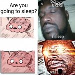 Brain Before Sleep meme