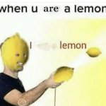 when you are a lemon