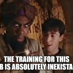 Helpdesk Training | THE TRAINING FOR THIS JOB IS ABSOLUTELY INEXISTANT | image tagged in bernie and the genie,training,lol so funny | made w/ Imgflip meme maker
