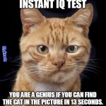 Instant IQ Test | INSTANT IQ TEST; YOU ARE A GENIUS IF YOU CAN FIND THE CAT IN THE PICTURE IN 13 SECONDS. | image tagged in doubting cat,iq,test,cat | made w/ Imgflip meme maker